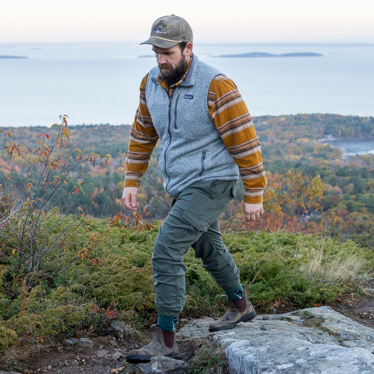 Darn Tough Men's Willoughby Micro Crew Lightweight Hiking Sock Dog Pond