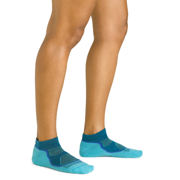 Darn Tough Women's Light Hiker No Show Lightweight Hiking Sock Cascade