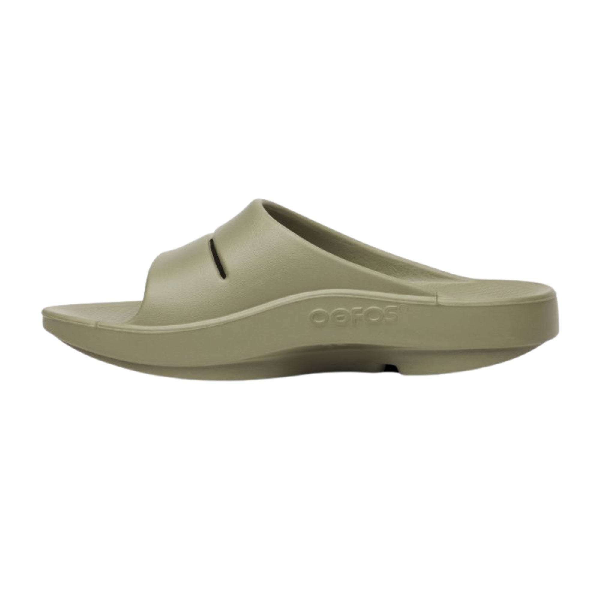 Ooahh Unisex - Foliage