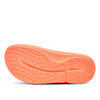 OOfos OOahh Slide - Sunburst