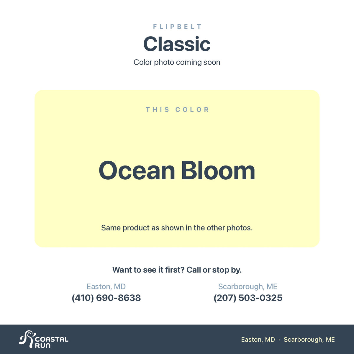FlipBelt Classic, Ocean Bloom color