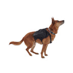 UD Dog Vest Black